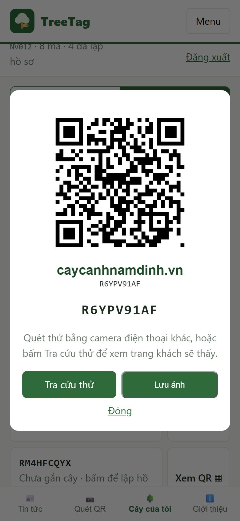 Khung xem ảnh mã QR với nút Tra cứu thử và Lưu ảnh
