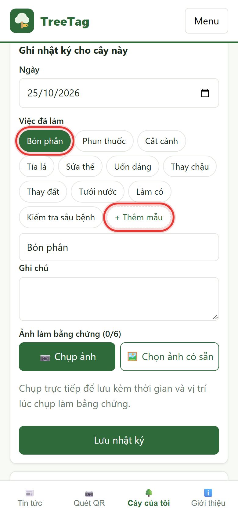 Form ghi nhật ký với câu mẫu