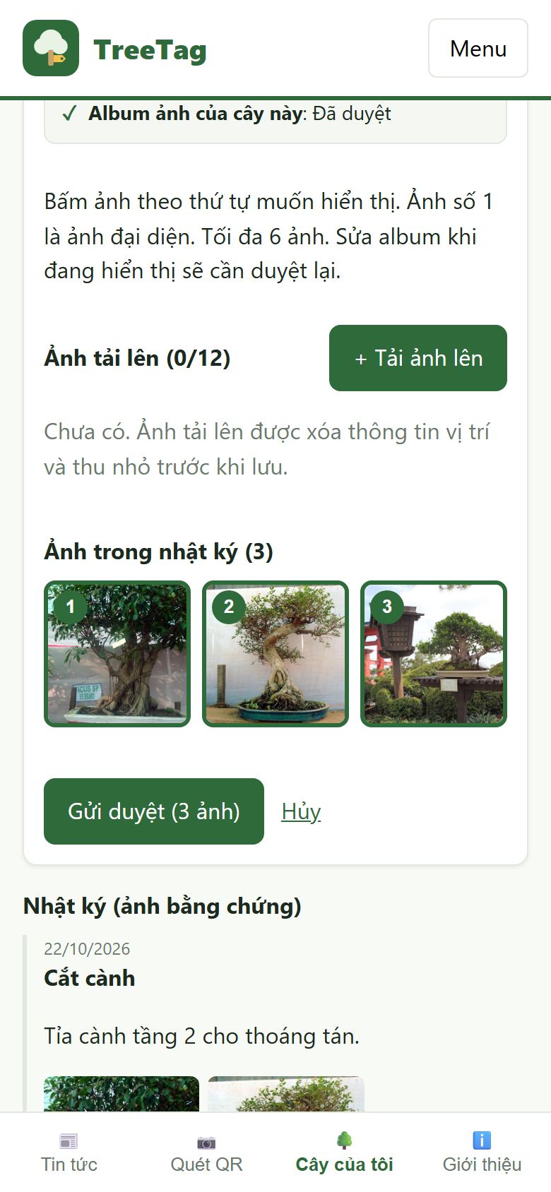 Chọn ảnh cho album cây